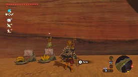 Un Korogu dans Breath of the Wild