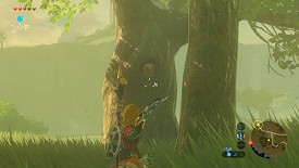 Un Korogu dans Breath of the Wild