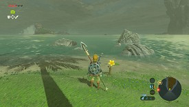 Un Korogu dans Breath of the Wild