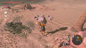 Un Korogu dans Breath of the Wild