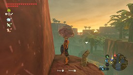 Un Korogu dans Breath of the Wild