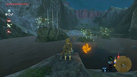 Un Korogu dans Breath of the Wild