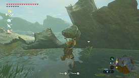 Un Korogu dans Breath of the Wild