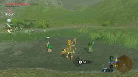 Un Korogu dans Breath of the Wild