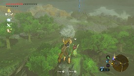 Un Korogu dans Breath of the Wild