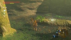 Un Korogu dans Breath of the Wild