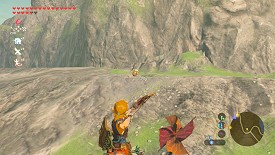 Un Korogu dans Breath of the Wild