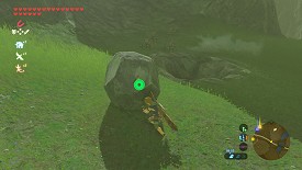 Un Korogu dans Breath of the Wild