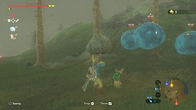 Un Korogu dans Breath of the Wild