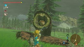 Un Korogu dans Breath of the Wild