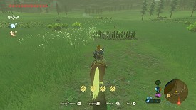 Un Korogu dans Breath of the Wild