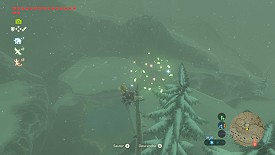 Un Korogu dans Breath of the Wild