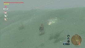 Un Korogu dans Breath of the Wild