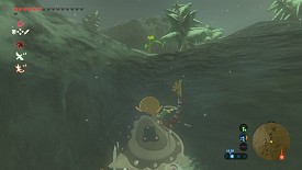 Un Korogu dans Breath of the Wild