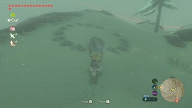 Un Korogu dans Breath of the Wild