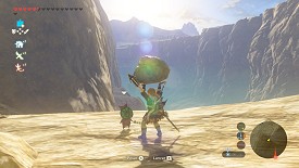 Un Korogu dans Breath of the Wild