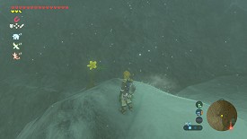 Un Korogu dans Breath of the Wild
