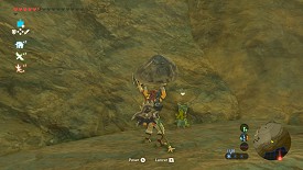 Un Korogu dans Breath of the Wild