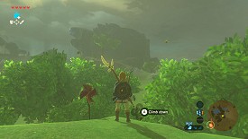 Un Korogu dans Breath of the Wild