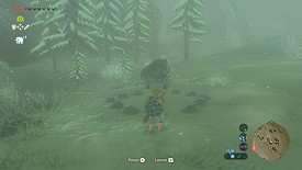 Un Korogu dans Breath of the Wild