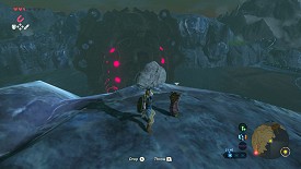 Un Korogu dans Breath of the Wild