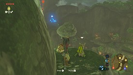 Un Korogu dans Breath of the Wild