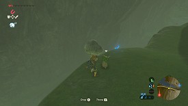 Un Korogu dans Breath of the Wild