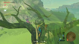 Un Korogu dans Breath of the Wild