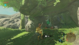 Un Korogu dans Breath of the Wild