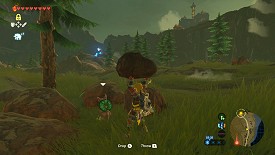 Un Korogu dans Breath of the Wild