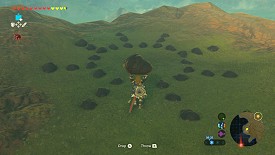 Un Korogu dans Breath of the Wild