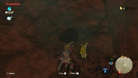 Un Korogu dans Breath of the Wild