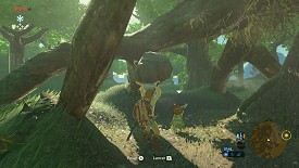 Un Korogu dans Breath of the Wild