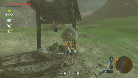 Un Korogu dans Breath of the Wild