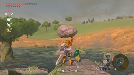 Un Korogu dans Breath of the Wild