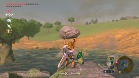 Un Korogu dans Breath of the Wild