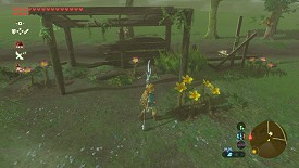 Un Korogu dans Breath of the Wild