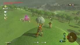 Un Korogu dans Breath of the Wild