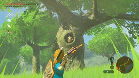 Un Korogu dans Breath of the Wild