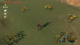 Un Korogu dans Breath of the Wild