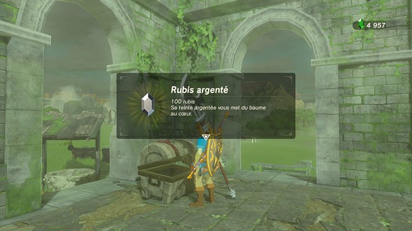 rubis argenté dans le Centre d'Hyrule Breath of the Wild