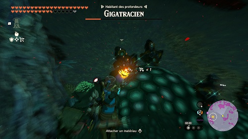 Gigatracien Tears of the Kingdom
