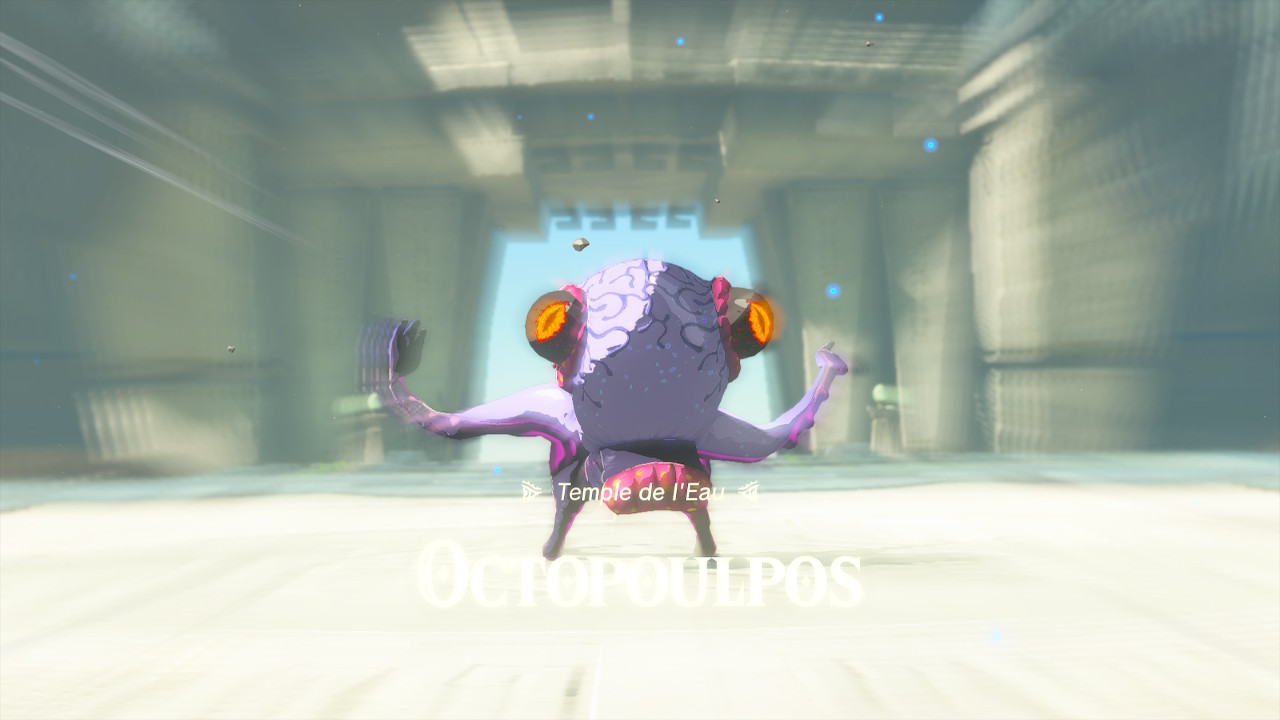Guide des Boss de Tears of the Kingdom Le Palais de Zelda