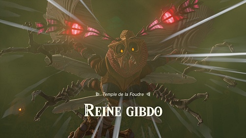 Reine Gibdo dans Tears of the Kingdom