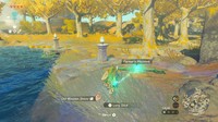 scène Legend of Zelda: Tears of the Kingdom