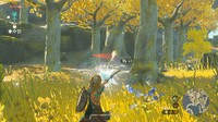 scène Legend of Zelda: Tears of the Kingdom