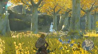 scène Legend of Zelda: Tears of the Kingdom