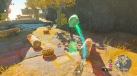 scène Legend of Zelda: Tears of the Kingdom