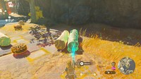scène Legend of Zelda: Tears of the Kingdom
