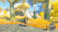 scène Legend of Zelda: Tears of the Kingdom